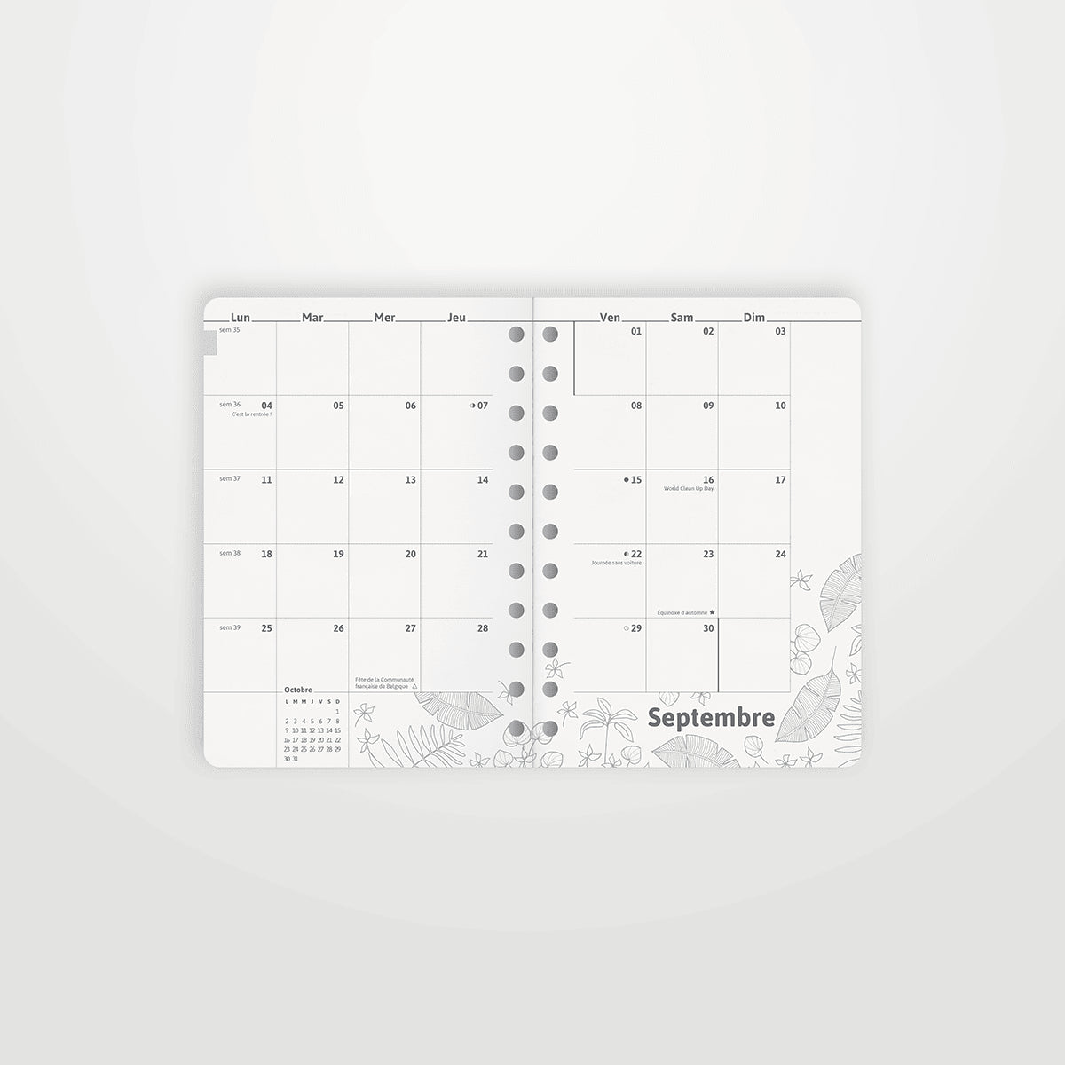Agenda scolaire 2025 / 2026 - Poche A6 spirale: Teck